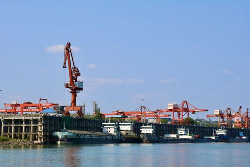 奮戰(zhàn)紅五月，瀘州水運吹響發(fā)展進(jìn)軍號 碼頭建設(shè)與管理并舉，激活長江上游黃金水道