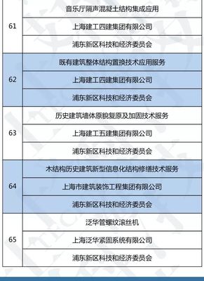 上海市高新技術成果轉化項目名單出爐，技術服務成創新引擎